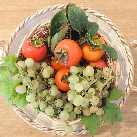 Lejlighed Casa Filicudi